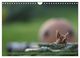 Thumbnail-11