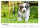 Thumbnail-14