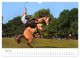 Thumbnail-11