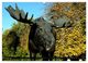 Thumbnail-13