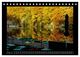 Thumbnail-12