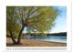 Thumbnail-12