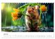 Thumbnail-11