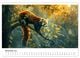 Thumbnail-13