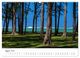 Thumbnail-10