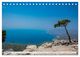 Thumbnail-12