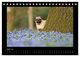 Thumbnail-9