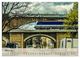 Thumbnail-4