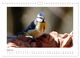 Thumbnail-9