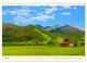 Thumbnail-8