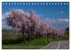 Thumbnail-11