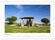 Thumbnail-13