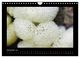 Thumbnail-14