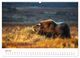 Thumbnail-11
