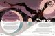 Thumbnail-9