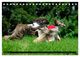 Thumbnail-10