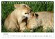 Thumbnail-9