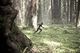 Thumbnail-11