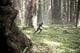 Thumbnail-11