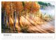 Thumbnail-13