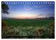 Thumbnail-10