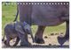 Thumbnail-14