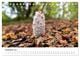 Thumbnail-14