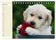 Thumbnail-11