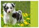 Thumbnail-8