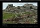 Thumbnail-8