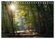 Thumbnail-14