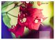 Thumbnail-12