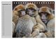 Thumbnail-14
