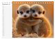 Thumbnail-14