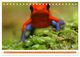 Thumbnail-14