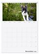 Thumbnail-10