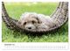 Thumbnail-14