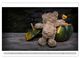 Thumbnail-12