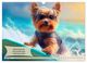 Thumbnail-11