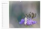 Thumbnail-14