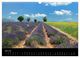 Thumbnail-11