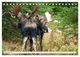 Thumbnail-11