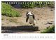 Thumbnail-11