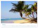 Thumbnail-9