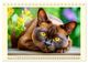 Thumbnail-14