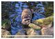 Thumbnail-12