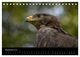 Thumbnail-11
