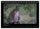 Thumbnail-14