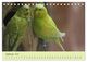 Thumbnail-14