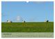 Thumbnail-13